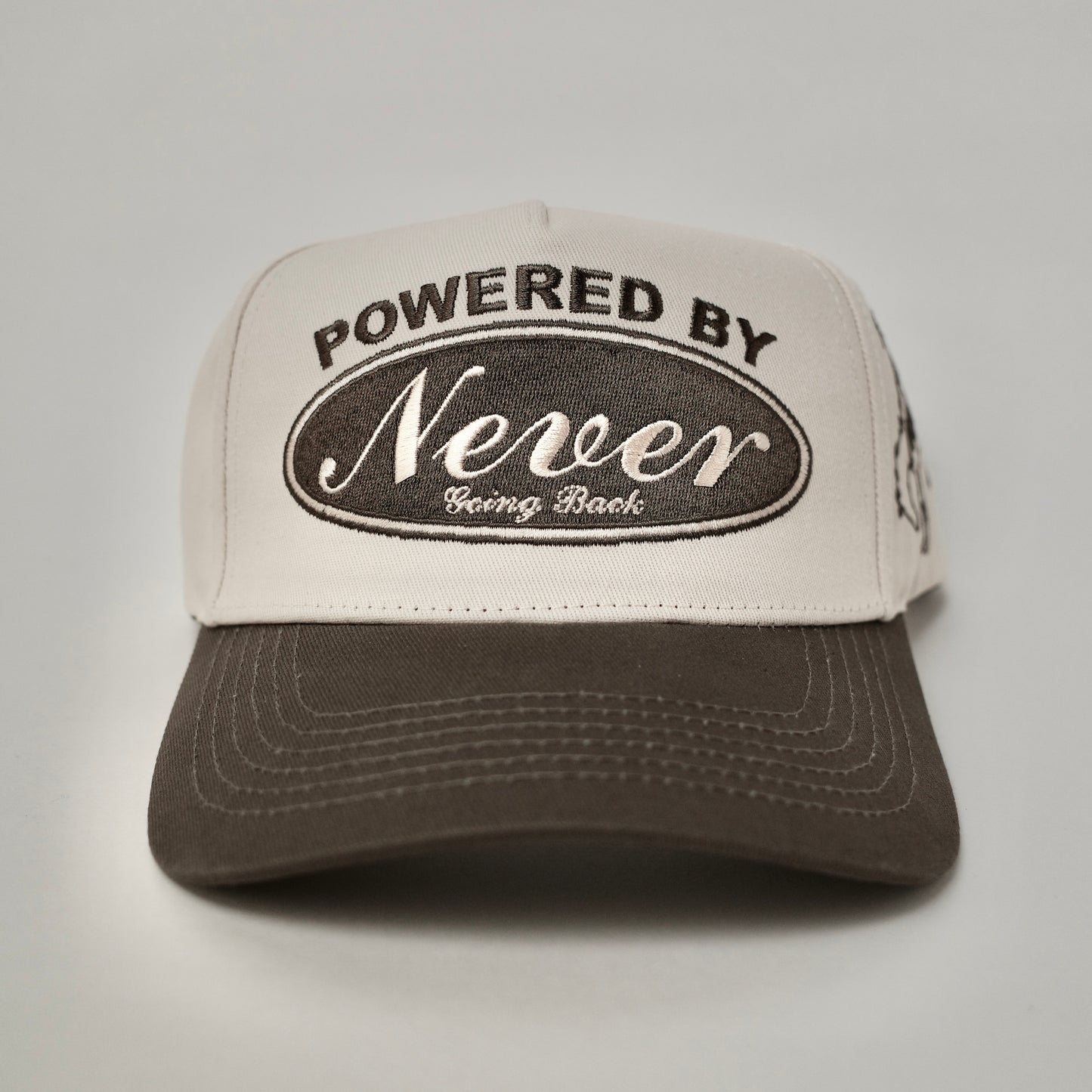 POWERED BY NGB SNAPBACK - CLOUDS & DRIFTWOOD